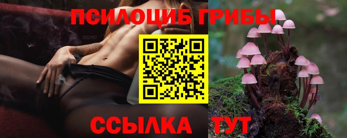 Псилоцибиновые грибы Magic Shrooms Коряжма